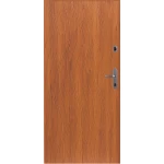 Drzwi Gerda WPX 3010 D